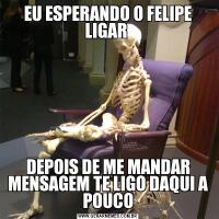 EU ESPERANDO O FELIPE LIGAR DEPOIS DE ME MANDAR MENSAGEM TE LIGO DAQUI A POUCO
