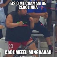 EIS Q ME CHAMAM DE CEBOLINHACADE MEEEU MINGAAAAU