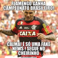 FLAMENGO GANHA CAMPEONATO BRASILEIRO!CALMA! É SÓ UMA FAKE NEWS ! SEGUE NO CHEIRINHO