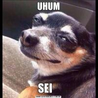 UHUMSEI   