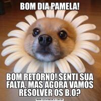 BOM DIA PAMELA!BOM RETORNO! SENTI SUA FALTA, MAS AGORA VAMOS RESOLVER OS B.O?