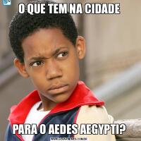 O QUE TEM NA CIDADEPARA O AEDES AEGYPTI?