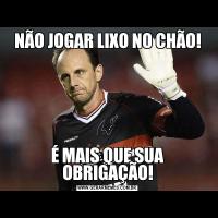 NÃO JOGAR LIXO NO CHÃO!É MAIS QUE SUA OBRIGAÇÃO!