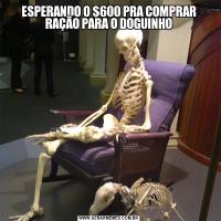 ESPERANDO O $600 PRA COMPRAR RAÇÃO PARA O DOGUINHO