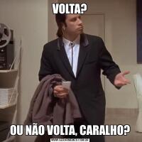 VOLTA?OU NÃO VOLTA, CARALHO?