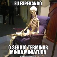 EU ESPERANDOO SÉRGIO TERMINAR MINHA MINIATURA