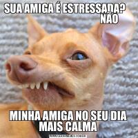 SUA AMIGA É ESTRESSADA?                                             NÃOMINHA AMIGA NO SEU DIA MAIS CALMA