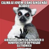CALMA AÍ JOVEM, O ANO AINDA NÃO ACABOUAINDA DÁ TEMPO DE APRENDER O NOVO DECRETO DO PREGÃO ELETRÔNICO