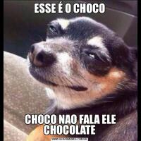 ESSE É O CHOCO CHOCO NAO FALA ELE CHOCOLATE
