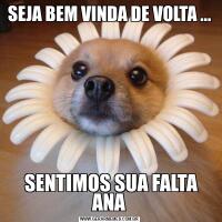 SEJA BEM VINDA DE VOLTA ...
  SENTIMOS SUA FALTA  ANA