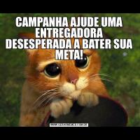 CAMPANHA AJUDE UMA ENTREGADORA DESESPERADA A BATER SUA META!