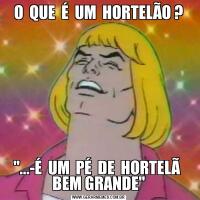 O  QUE  É  UM  HORTELÃO ?"...-É  UM  PÉ  DE  HORTELÃ  BEM GRANDE"