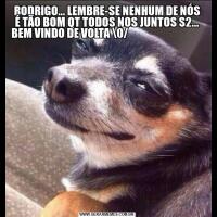 RODRIGO... LEMBRE-SE NENHUM DE NÓS É TÃO BOM QT TODOS NOS JUNTOS S2... BEM VINDO DE VOLTA �/                                                                                                                                                              