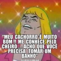 "MEU  CACHORRO  É  MUITO  BOM !!  ME  CONHECE  PELO  CHEIRO ....-ACHO  QUE  VOCÊ  PRECISA   TOMAR  UM  BANHO" 