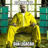 ESPERANDOSUA LIGAÇÃO