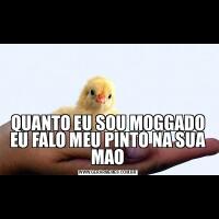 QUANTO EU SOU MOGGADO EU FALO MEU PINTO NA SUA MAO
