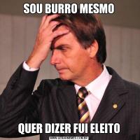 SOU BURRO MESMOQUER DIZER FUI ELEITO
