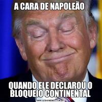 A CARA DE NAPOLEÃO QUANDO ELE DECLAROU O BLOQUEIO CONTINENTAL