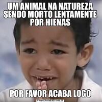 UM ANIMAL NA NATUREZA SENDO MORTO LENTAMENTE POR HIENASPOR FAVOR ACABA LOGO