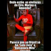 Onde estão  os eleitores do Ciro, Marina e Amoedo?Parece que no Brasil só há 