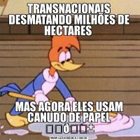 TRANSNACIONAIS DESMATANDO MILHÕES DE HECTARES MAS AGORA ELES USAM CANUDO DE PAPEL ❣️