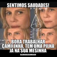 SENTIMOS SAUDADES!BORA TRABALHAR CAMILINHA, TEM UMA PILHA JÁ NA SUA MESINHA