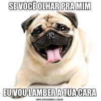 SE VOCÊ OLHAR PRA MIMEU VOU LAMBER A TUA CARA