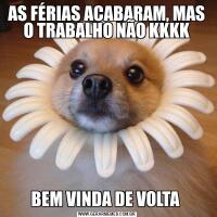 AS FÉRIAS ACABARAM, MAS O TRABALHO NÃO KKKKBEM VINDA DE VOLTA 