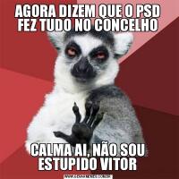 AGORA DIZEM QUE O PSD FEZ TUDO NO CONCELHOCALMA AI, NÃO SOU ESTUPIDO VITOR