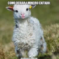 COMO DEIXAR 1 MINEIRO EXITADO: