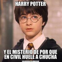 HARRY POTTERY EL MISTERIO DE POR QUE EN CIVIL HUELE A CHUCHA