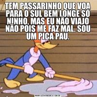 TEM PASSARINHO QUE VOA PARA O SUL BEM LONGE SÓ NINHO, MAS EU NÃO VIAJO NÃO POIS ME FAZ MAL. SOU UM PICA PAU.