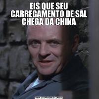 EIS QUE SEU CARREGAMENTO DE SAL CHEGA DA CHINA