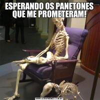 ESPERANDO OS PANETONES QUE ME PROMETERAM!