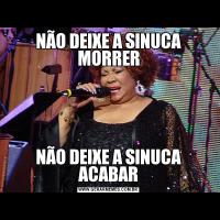 NÃO DEIXE A SINUCA MORRERNÃO DEIXE A SINUCA ACABAR