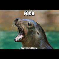 FOCA