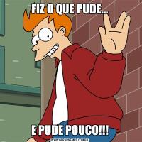 FIZ O QUE PUDE...E PUDE POUCO!!!