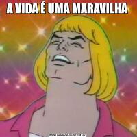 A VIDA É UMA MARAVILHA