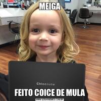MEIGAFEITO COICE DE MULA