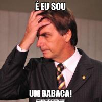 É EU SOUUM BABACA!