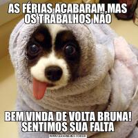 AS FÉRIAS ACABARAM,MAS OS TRABALHOS NÃOBEM VINDA DE VOLTA BRUNA! SENTIMOS SUA FALTA