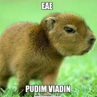 EAE PUDIM VIADIN