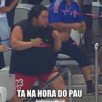 TA NA HORA DO PAU 