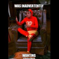 
WAS INADVERTENTLYWANTING