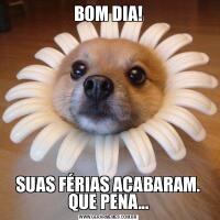 BOM DIA!SUAS FÉRIAS ACABARAM. QUE PENA...