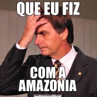 QUE EU FIZCOM A AMAZONIA