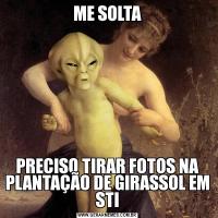 ME SOLTAPRECISO TIRAR FOTOS NA PLANTAÇÃO DE GIRASSOL EM STI