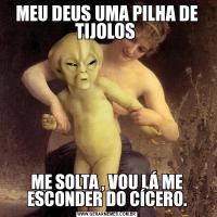 MEU DEUS UMA PILHA DE TIJOLOS ME SOLTA , VOU LÁ ME ESCONDER DO CÍCERO.