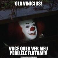 OLÁ VINÍCIUS!VOCÊ QUER VER MEU PERU,ELE FLUTUA!!!!