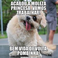 ACABOU A MOLEZA PRINCESA, VAMOS TRABALHAR!BEM VIDA DE VOLTA, POMBINHA!